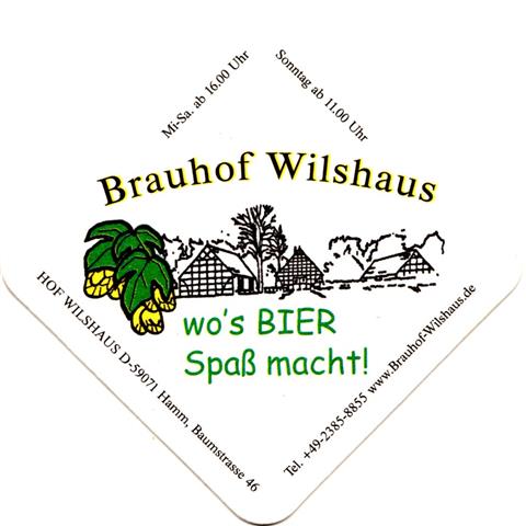 hamm ham-nw wilshaus raute 1-5a (185-brauhof) 